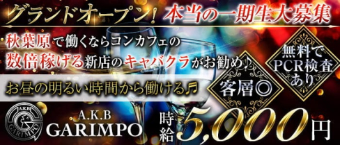 【昼・夜】【秋葉原】A.K.B GARIMPO(エーケービーガリンポ)【公式求人・体入情報】(秋葉原キャバクラ)の求人・体験入店情報