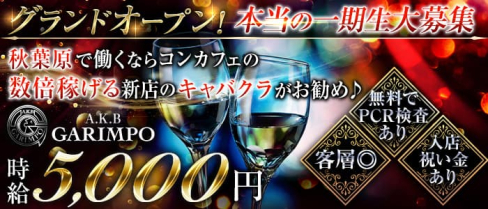 【秋葉原】A.K.B GARIMPO(エーケービーガリンポ)【公式求人・体入情報】(秋葉原キャバクラ)の求人・体験入店情報