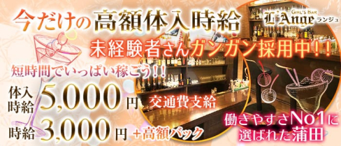 GIRL'S BAR L'Ange~ランジュ~【公式求人情報】(川崎ガールズバー)の求人・体験入店情報