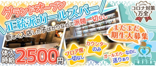 Girl's Bar Rezel (レゼル)【公式求人・体入情報】(上野ガールズバー)の求人・体験入店情報