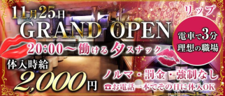 club リップ【公式求人・体入情報】(赤羽スナック)の求人・体験入店情報