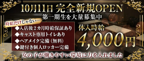 Club NOX(ノックス)【公式求人情報】(所沢キャバクラ)の求人・バイト・体験入店情報