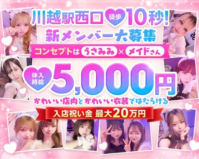 Honey Bunnyのガールズバー体入