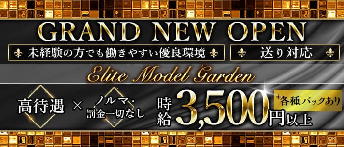 武蔵小杉 Elite Model Garden エリートモデルガーデン 公式求人 体入情報 武蔵小杉 キャバクラ 公式求人 キャバクラ求人 なら 体入ショコラ