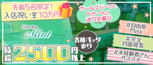 Girls Bar Mint(ミント)【公式求人・体入情報】(葛西ガールズバー)の求人・体験入店情報