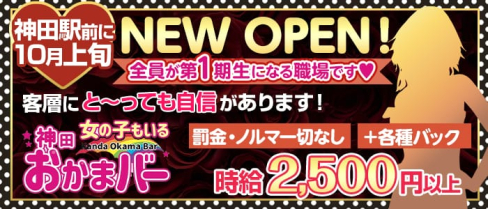 神田女の子もいるおかまバー【公式求人情報】(神田ガールズバー)の求人・体験入店情報