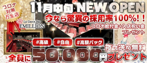 【24時間営業】La Garce Bar EMILLION(エミリオン)【公式求人情報】(錦糸町ガールズバー)の求人・体験入店情報
