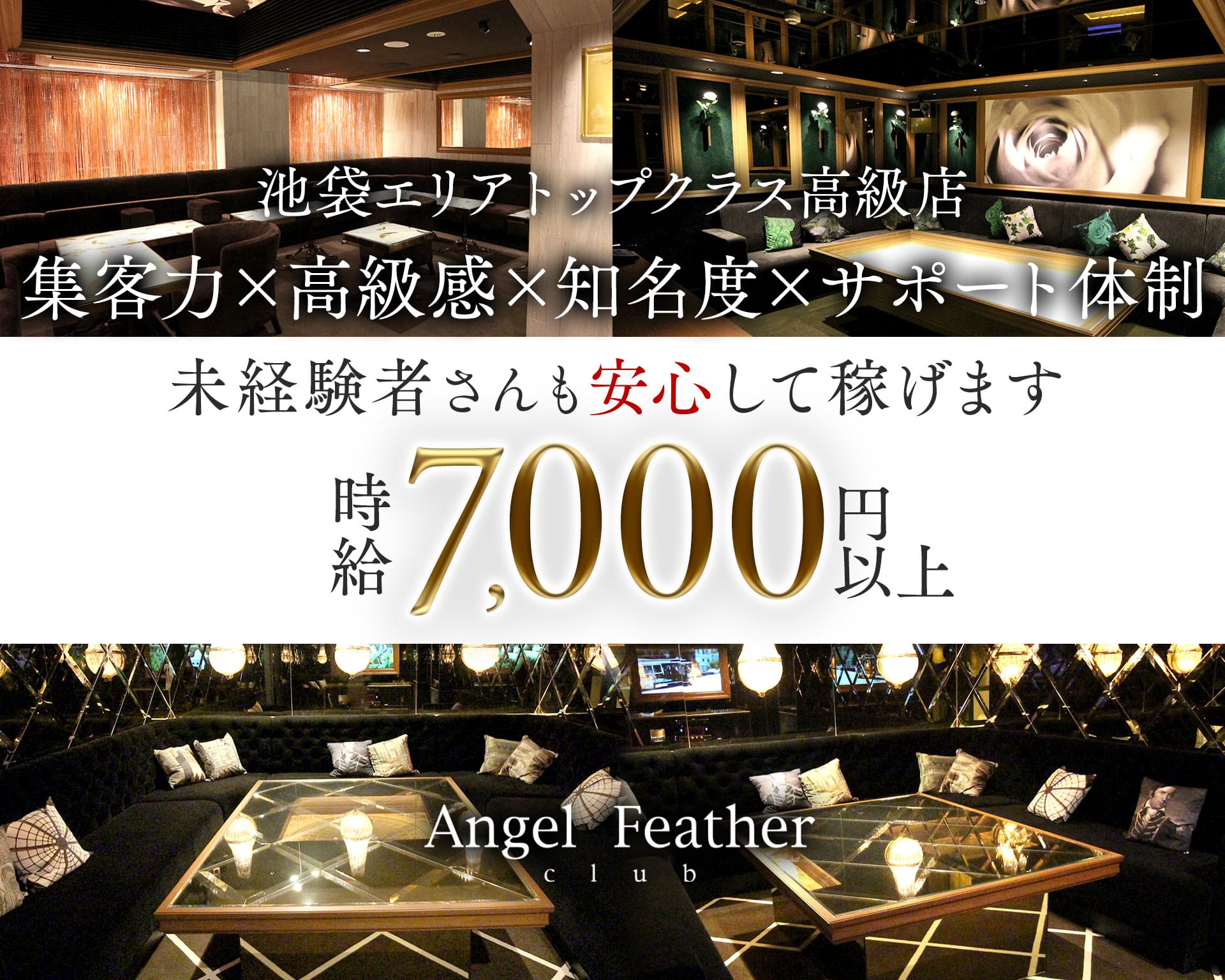 Angel Feather 池袋（エンジェルフェザー） 池袋キャバクラ TOP画像