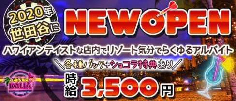 【小田急線祖師谷大蔵】コンカフェダーツ&バー DALIA (ダリア)【公式求人・体入情報】(歌舞伎町ガールズバー)の求人・体験入店情報
