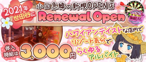 【小田急線祖師谷大蔵】コンカフェダーツ&バー DALIA (ダリア)【公式求人・体入情報】(歌舞伎町ガールズバー)の求人・体験入店情報