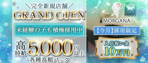 【会員制】Morgana(モルガナ)【公式求人・体入情報】(三宮ラウンジ)の求人・体験入店情報