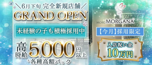【会員制】Morgana(モルガナ)【公式求人・体入情報】(三宮ラウンジ)の求人・体験入店情報
