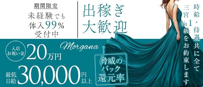 【会員制】Morgana（モルガナ）(三宮ラウンジ)の求人・体験入店情報