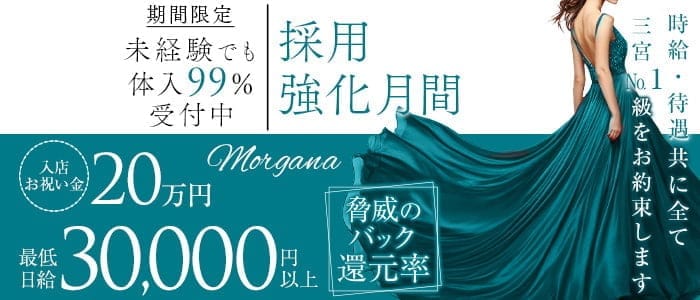 【会員制】Morgana（モルガナ）(三宮ラウンジ)の求人・体験入店情報