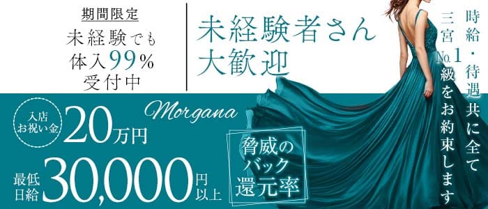 【会員制】Morgana（モルガナ） 三宮ラウンジ 未経験募集バナー