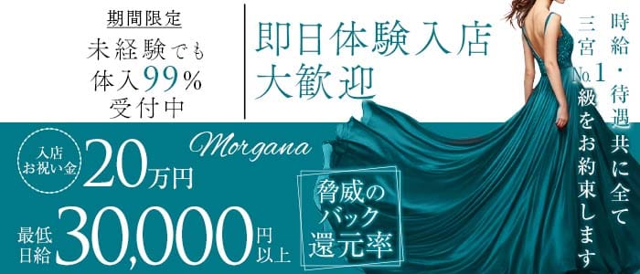【会員制】Morgana（モルガナ）(三宮ラウンジ)の求人・体験入店情報
