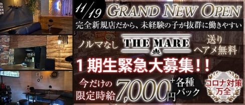 【津田沼】THE MARE(マーレ)【公式求人・体入情報】(西船橋キャバクラ)の求人・体験入店情報