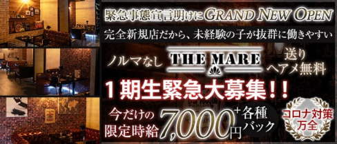 【津田沼】THE MARE(マーレ)【公式求人・体入情報】(西船橋キャバクラ)の求人・体験入店情報