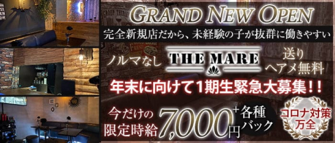 【津田沼】THE MARE(マーレ)【公式求人・体入情報】(西船橋キャバクラ)の求人・体験入店情報
