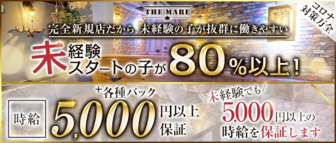 【津田沼】THE MARE(マーレ)【公式求人・体入情報】(西船橋キャバクラ)の求人・体験入店情報