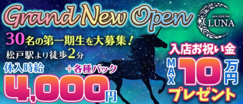 New Style Bar Luna(ルナ)【公式求人・体入情報】(松戸ガールズバー)の求人・体験入店情報