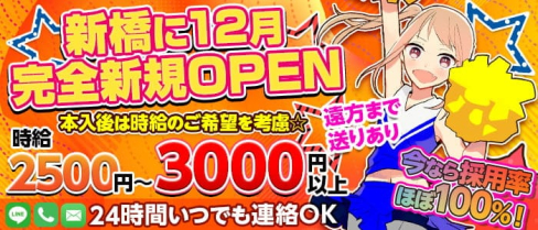 Girls Bar FANTASY(ファンタジー)【公式求人・体入情報】(新橋ガールズバー)の求人・体験入店情報