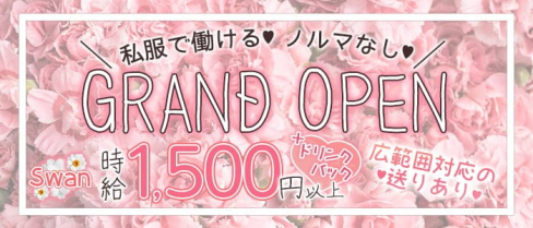 Swan (スワン)【公式求人情報】(新内ガールズバー)の求人・体験入店情報