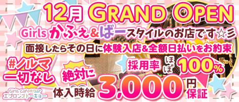 【新橋GirlsCafé】 エプロンズトーキョー【公式求人情報】(秋葉原ガールズバー)の求人・体験入店情報