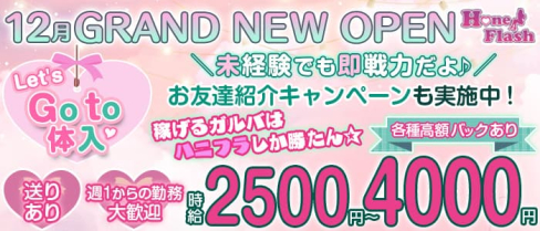 Girls Bar Honey Flash Annex(ハニーフラッシュアネックス)【公式求人・体入情報】(池袋ガールズバー)の求人・体験入店情報