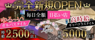 【上福岡】Club Aqua(クラブアクア)【公式求人・体入情報】(川越キャバクラ)の求人・体験入店情報