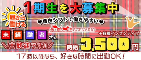 【昼・夜】SCENARIO(シナリオ)【公式求人・体入情報】(新宿ガールズバー)の求人・体験入店情報