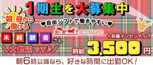 【朝・昼・夜】Girls Bar SCENARIO(シナリオ)【公式求人・体入情報】(新宿ガールズバー)の求人・体験入店情報