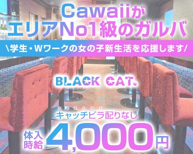 【ＪＲ・東急蒲田駅西口】Girl's Bar ブラックキャットのガールズバー体入