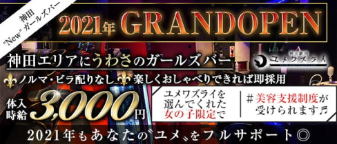 【神田駅北口】GirlsBar ユメワズライ【公式求人・体入情報】(秋葉原ガールズバー)の求人・体験入店情報