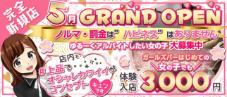 ガールズCafé&Bar Happiness(ハピネス)【公式求人・体入情報】(船橋ガールズバー)の求人・体験入店情報