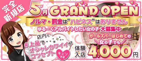 Girls Bar Happiness(ハピネス)【公式求人・体入情報】(船橋ガールズバー)の求人・体験入店情報