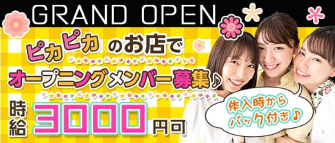 Lily(リリー)【公式求人・体入情報】(神田ガールズバー)の求人・体験入店情報