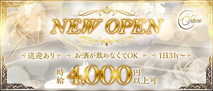 Selene （セレーネ）のラウンジ体入