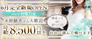 ガールズラウンジ 琴(コト)【公式求人・体入情報】(錦糸町キャバクラ)の求人・体験入店情報