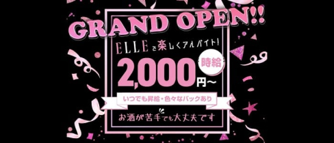 GIRLS BAR ELLE(エル)【公式求人・体入情報】(宇治ガールズバー)の求人・体験入店情報