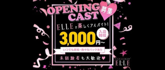 GIRLS BAR ELLE(エル)【公式求人・体入情報】(宇治ガールズバー)の求人・体験入店情報