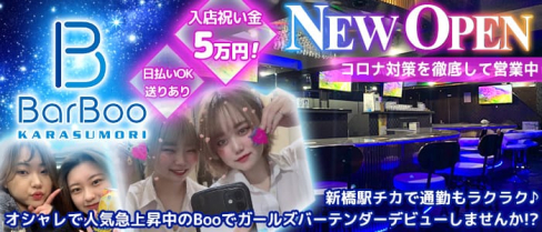 Girls Bar Boo(ブー)【公式求人・体入情報】(新橋ガールズバー)の求人・体験入店情報
