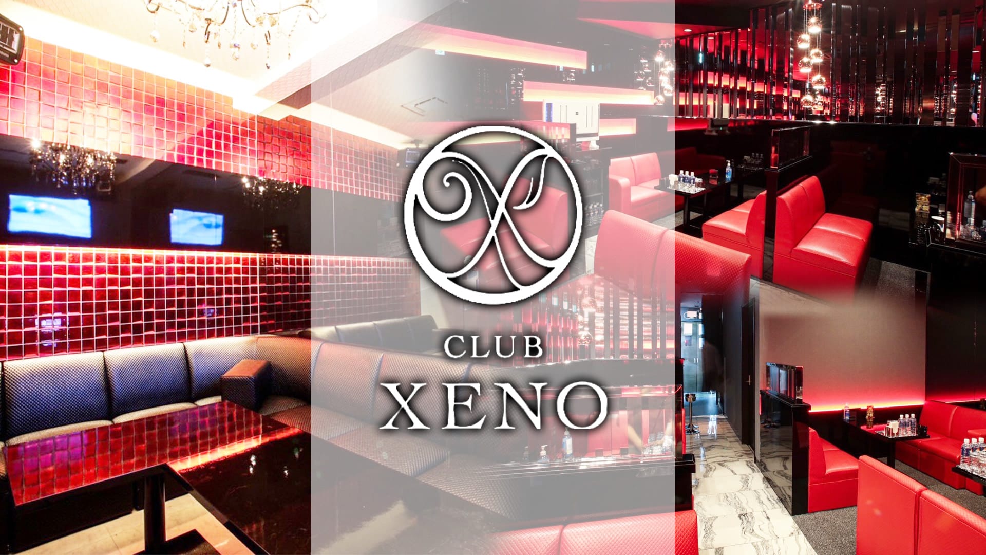 CLUB XENO(ゼノ)【公式求人・体入情報】 難波キャバクラ TOP画像