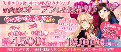 【昼・夜】PINK PLANET (ピンクプラネット)【公式求人・体入情報】(歌舞伎町ガールズバー)の求人・体験入店情報