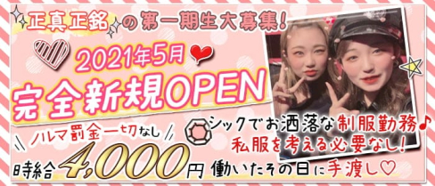 Girls Bar Sugar Pocket(シュガーポケット)【公式求人・体入情報】(新橋ガールズバー)の求人・体験入店情報