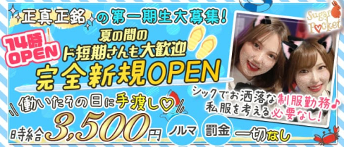 Girls Bar Sugar Pocket(シュガーポケット)【公式求人・体入情報】(新橋ガールズバー)の求人・体験入店情報