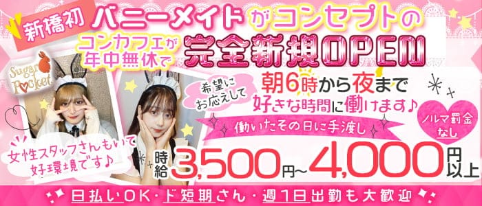 【朝昼夜】cafe & bar Sugar Pocket（シュガーポケット）【公式求人・体入情報】 新橋ガールズバー バナー