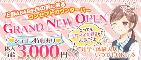 コンセプトカウンターバー Voyage(ボヤージュ)【公式求人・体入情報】(上野ガールズバー)の求人・体験入店情報