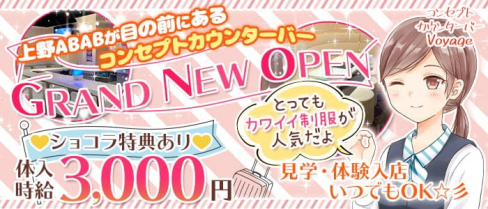 コンセプトカウンターバー Voyage(ボヤージュ)【公式求人・体入情報】(上野ガールズバー)の求人・体験入店情報