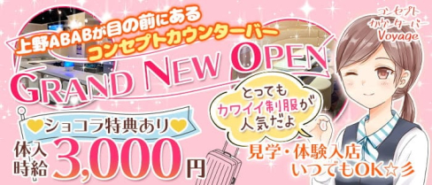 コンセプトカウンターバー Voyage(ボヤージュ)【公式求人・体入情報】(上野ガールズバー)の求人・体験入店情報